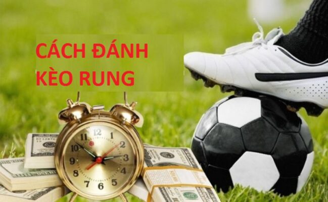 Kinh nghiệm soi kèo rung bóng đá chuẩn cho tân thủ tại ZBET 5 keo rung ava
