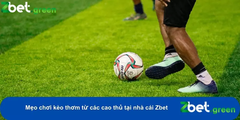 Bí Quyết Soi Kèo Thơm Tại Zbet – Tối Đa Cơ Hội Chiến Thắng 4 Chia nhỏ vốn và phân bổ vào nhiều kèo khác nhau