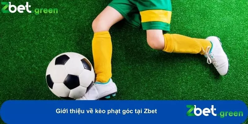 Bí Quyết Chơi Kèo Phạt Góc Tại Zbet – Luật, Mẹo Hay, Ưu Đãi 1 Cung cấp nhiều mức cược đa dạng