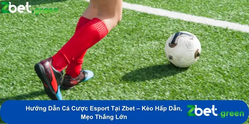 Hướng Dẫn Cá Cược Esport Tại Zbet – Kèo Hấp Dẫn, Mẹo Thắng Lớn 8 Hướng Dẫn Cá Cược Esport Tại Zbet – Kèo Hấp Dẫn, Mẹo Thắng Lớn