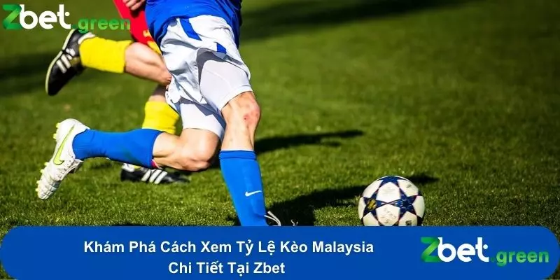 Khám Phá Cách Xem Tỷ Lệ Kèo Malaysia Chi Tiết Tại Zbet 18 Khám Phá Cách Xem Tỷ Lệ Kèo Malaysia Chi Tiết Tại Zbet