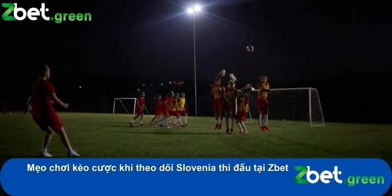 Chiến Thuật Chi Tiết Đội Hình Đội Tuyển Slovenia 2024 4 Mẹo chơi kèo cược khi theo dõi Slovenia thi đấu tại Zbet