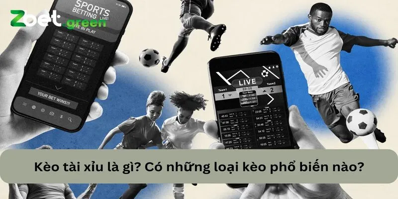 Bí Quyết Thắng Lớn Kèo Tài Xỉu Từ Các Cao Thủ Cá Cược 1 Mỗi loại kèo tài xỉu sẽ có tỷ lệ thắng thua và lợi nhuận khác nhau, mang lại sự đa dạng và thú vị cho người chơi